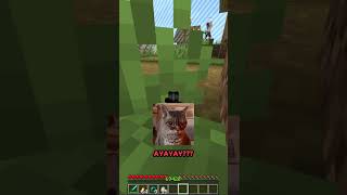 ESCONDIDAS pero DIMINUTOS 😶‍🌫️ 2  minecraft minecraftmemes [upl. by Sabelle]