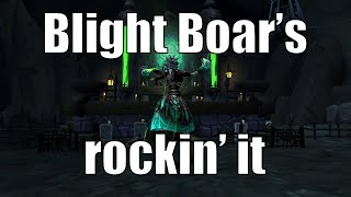 Blight Boar’s rockin’ it  WoW Darkmoon Faire  World of Warcraft [upl. by Omle]