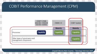 COBIT 2019 Capability Level [upl. by Fitting]