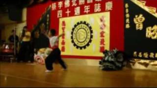 鴻勝蔡李佛 Hung Sing Choy Lee Fut [upl. by Eduino]