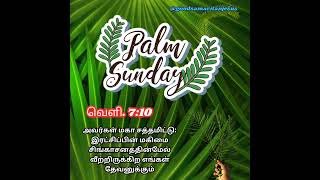 JESUS இயேசு  வெண்ணாடை அணிந்து ஆராதிப்பேன்  AARADHIPEN  PALM SUNDAY SONGS TAMIL [upl. by Zandt]