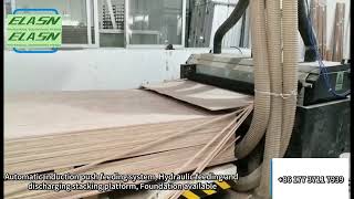 MDF plywood panel board saw machine multi blade rip saw machine Wood cutting saw production line [upl. by Gregorio]