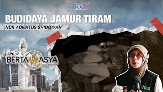 BUDIDAYA JAMUR DOMPET DHUAFA  BERTAMASYA EPS11 [upl. by Elata]