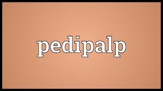 Pedipalp Meaning [upl. by Gnirol243]