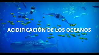 ACIDIFICACIÓN DE LOS OCEANOS—PROGRAMA 6—LAS NUEVE AMENAZAS AMBIENTALES [upl. by Fania]