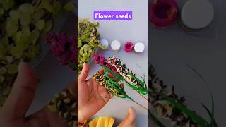 Flower seeds make flower stickshots diy 🌷🌷🌷Mt craft [upl. by Analad454]