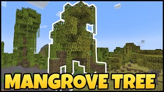 Where To Find MANGROVE TREE In MINECRAFT [upl. by Roe]