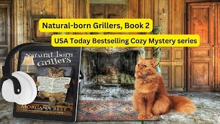 FREE FULL AUDIOBOOK Book 2 of the cozy mystery series Australian Amateur Sleuth [upl. by Rainer]