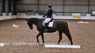 BD Prelim 3 2024 new dressage test with OTTB [upl. by Waverly]