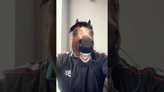 Ghoda kaise ban gaya 🤪😬😘🐎ytshorts shorts funny trending [upl. by Goodyear690]