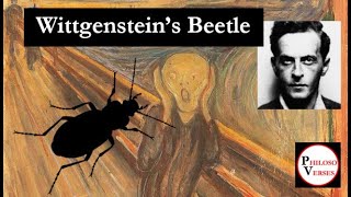 Wittgensteins Beetle  in verse [upl. by Klina198]