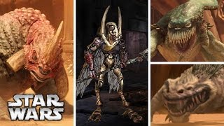 Geonosian Gladiators and the Creatures from the Geonosis Arena [upl. by Mount]