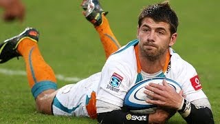 Willie le Roux Highlights  Cheetahs 2013 ᴴᴰ [upl. by Evey]