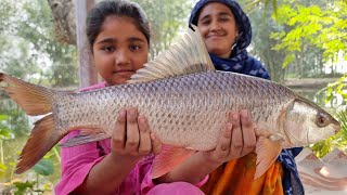 VILLAGE COOKING FISH CURRY IN COCONUT GRAVY Rohu Fish Curry Recipe Kumro Bori amp Taja Rui Mach Ranna [upl. by Zurc]