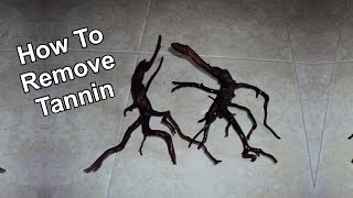 How To Remove Tannin From Driftwood [upl. by Sperling]