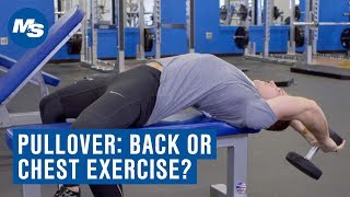 Dumbbell Pullover Chest or Back Exercise [upl. by Daisi495]