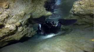 That 70degree WaterHole A cave dive in Peacock Springs [upl. by Poole]