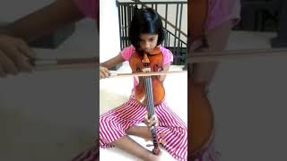 Sasara Wasana Thuru violin cover 🎻 Senuli Imethma 🎼🎶 [upl. by Lordan]