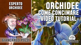 Come si concimano le orchidee Tutorial con Giancarlo Pozzi [upl. by Harriette]