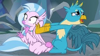 Silverstream  Gallus MLP [upl. by Yatzeck622]