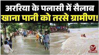 Bihar Flood  अररिया में बाढ़ से घिरा सिकटी और पलासी ग्रामीणों ने राहत और बचाव की लगाई गुहार [upl. by Nerita]