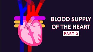 How The Heart Supplies Blood to Itself Part 2 [upl. by Marcoux]