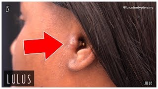 Wow This Tragus Piercing Is BAD [upl. by Garmaise]