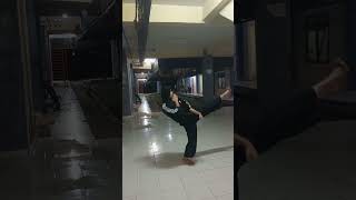 tendangan Depan Dalam pencak silat [upl. by Andri]