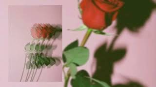 Butrint Imeri  Dujem  slowed🥀🖤 [upl. by Iliram]