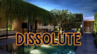 What is the meaning of Dissolute [upl. by Milinda]