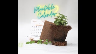 bioQ Plantable 2022 Calendar with a MDF Stand [upl. by Tehc]