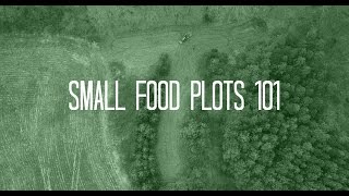 Why YOU SHOULD Consider Alfalfa Food Plots [upl. by Kentiggerma80]