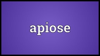 Apiose Meaning [upl. by Salguod]