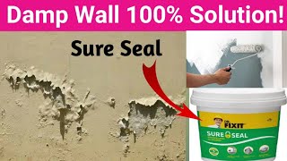 Dr Fixit Sure Seal Application  Sure seal waterproofing [upl. by Ettelrahc]