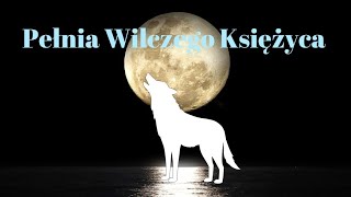 PEŁNIA KSIĘŻYCA W LWIE ♌ 2501 🌟 Wybierz kartę 16 🍀 Moc kończenia i tworzenia [upl. by Aronael]