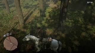 Rdr2 Oriole location Roanoke ridge map may have spoilers [upl. by Leitao306]