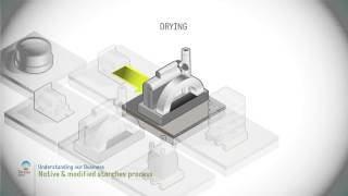 Native and modified starch process [upl. by Ketchum]