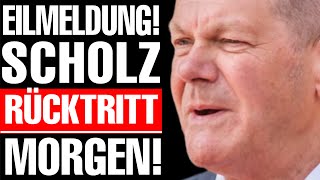 💥EILMELDUNG ALTPARTEIEN ZERSTÖREN SCHOLZ  AfD EXPLODIERT MASSIV💥 [upl. by Ainoet]