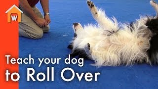 Teach Your Dog to Roll Over [upl. by Allenaj]