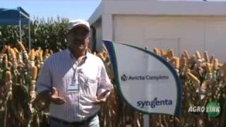 Avicta Completo Syngenta [upl. by Kayla]