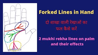 Fork line or Vishnu Sign in your heart line headmind line Fork at LifeLine in Palmistry [upl. by Rozalin]