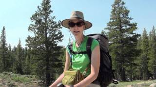 Sierra Hiking Ebbetts Pass [upl. by Nottirb459]