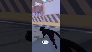 asbo cat steals another phone [upl. by Gasper]