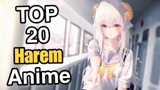 Top 20 Best Harem Anime Hindi  You Must Watch Before You Die😍 [upl. by Ahsekyw]