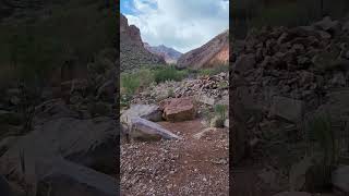 Bottom of Grand Canyon travel subscribe hikingadventures grandcanyon [upl. by Hock]