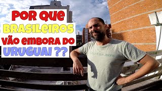 Porque os brasileiros se assustam com o Uruguai [upl. by Aibun292]