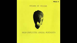 Guided by Voices  SelfInflicted Aerial Nostalgia 1989 FULL ALBUM [upl. by Siegfried]