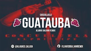 GUATAUBA ⚡ COSCULLUELA ✘ ALVARO GALVAN REMIX [upl. by Capps]