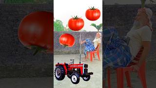 Rounding tomatos to Alto Rollar Jcb amp Tractor  Vehicles names magic video [upl. by Gnoy844]