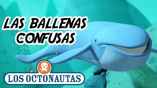 Los Octonautas Oficial en Español  Las Ballenas Confusas  Episodio 16 [upl. by Mylor]